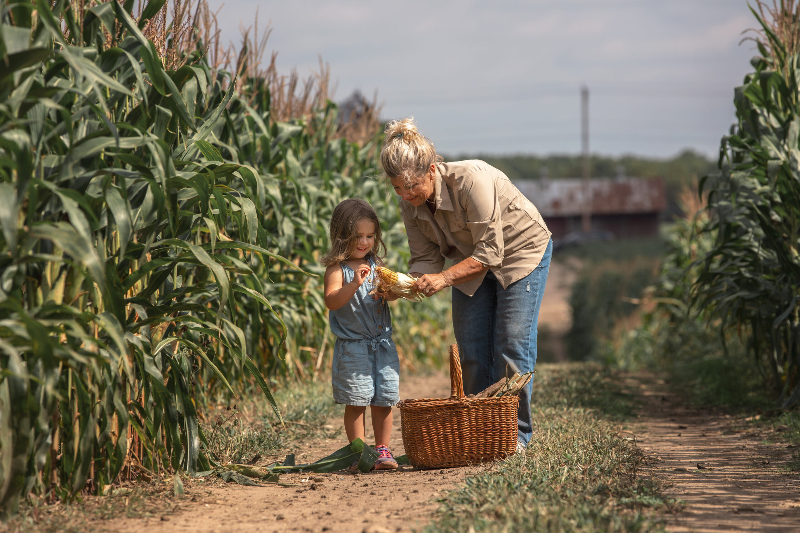 Grandmother showing granddaughter corn in a row of corn